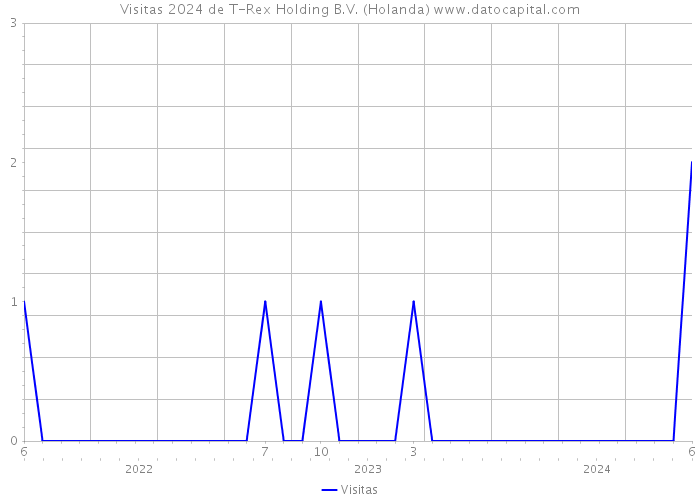 Visitas 2024 de T-Rex Holding B.V. (Holanda) 