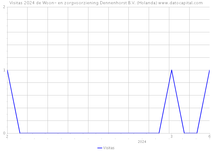 Visitas 2024 de Woon- en zorgvoorziening Dennenhorst B.V. (Holanda) 