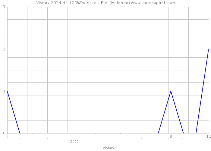 Visitas 2024 de 100%Swinckels B.V. (Holanda) 