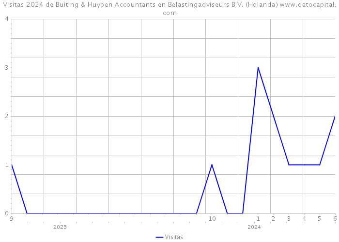 Visitas 2024 de Buiting & Huyben Accountants en Belastingadviseurs B.V. (Holanda) 
