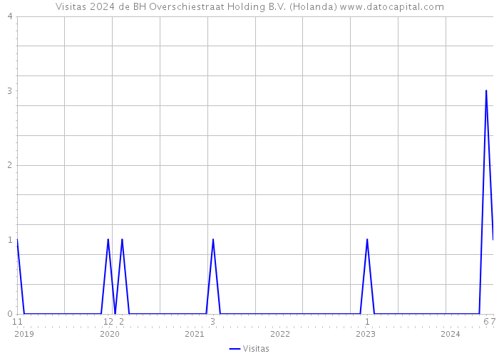 Visitas 2024 de BH Overschiestraat Holding B.V. (Holanda) 