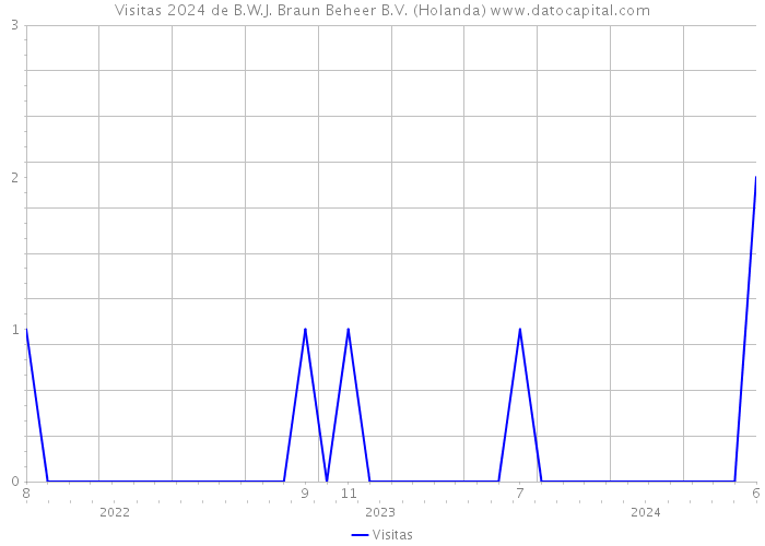 Visitas 2024 de B.W.J. Braun Beheer B.V. (Holanda) 