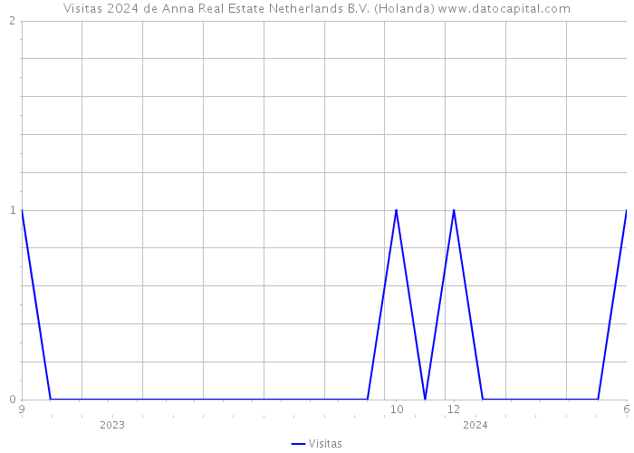 Visitas 2024 de Anna Real Estate Netherlands B.V. (Holanda) 