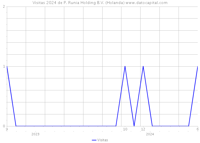 Visitas 2024 de P. Runia Holding B.V. (Holanda) 