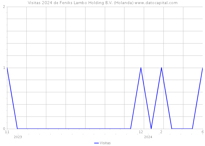 Visitas 2024 de Feniks Lambo Holding B.V. (Holanda) 