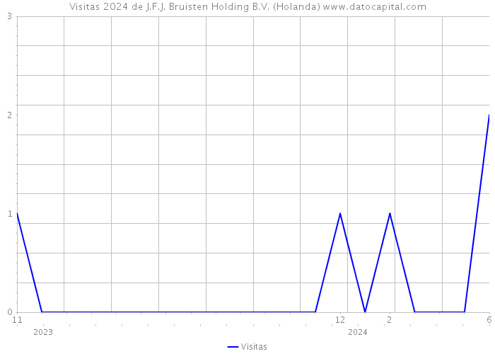 Visitas 2024 de J.F.J. Bruisten Holding B.V. (Holanda) 