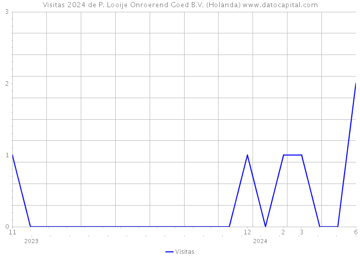 Visitas 2024 de P. Looije Onroerend Goed B.V. (Holanda) 