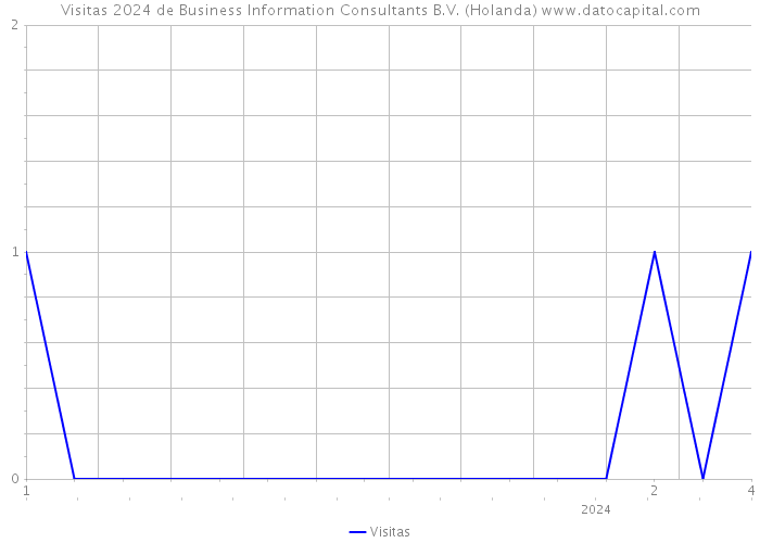 Visitas 2024 de Business Information Consultants B.V. (Holanda) 