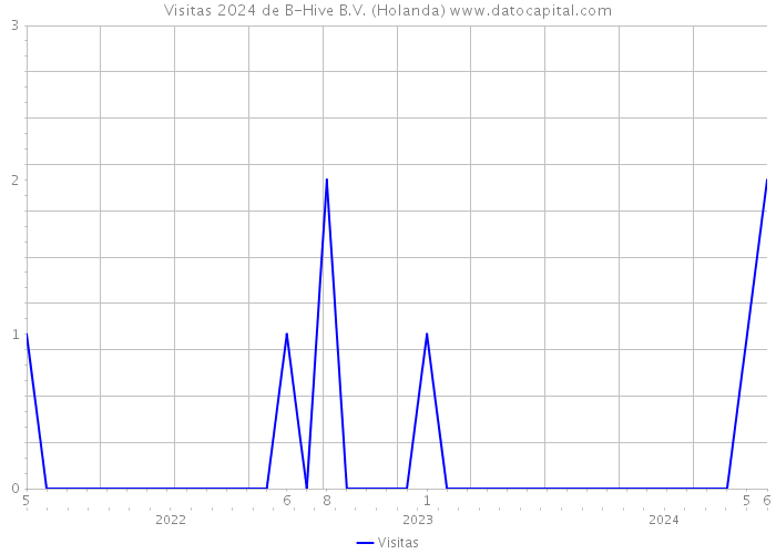 Visitas 2024 de B-Hive B.V. (Holanda) 