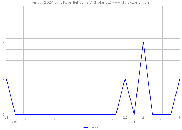 Visitas 2024 de J. Roos Beheer B.V. (Holanda) 