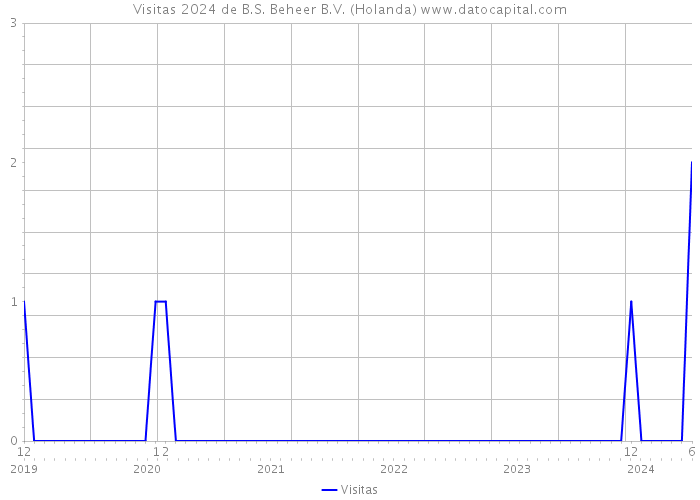 Visitas 2024 de B.S. Beheer B.V. (Holanda) 