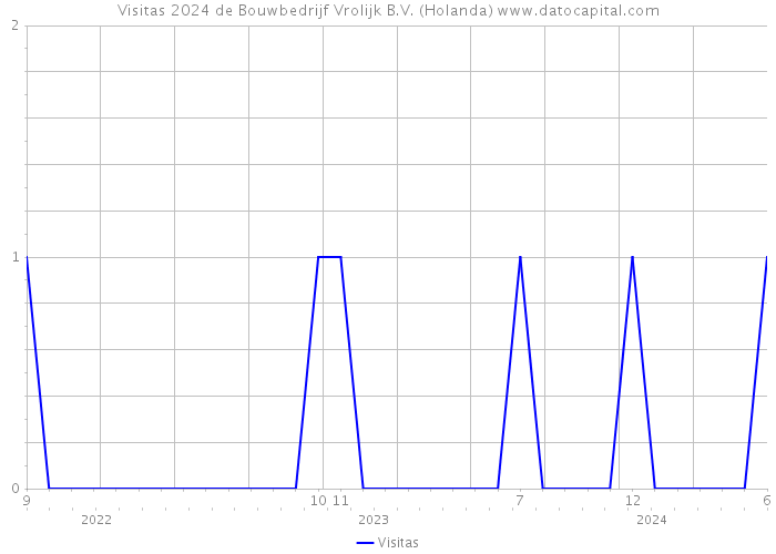 Visitas 2024 de Bouwbedrijf Vrolijk B.V. (Holanda) 