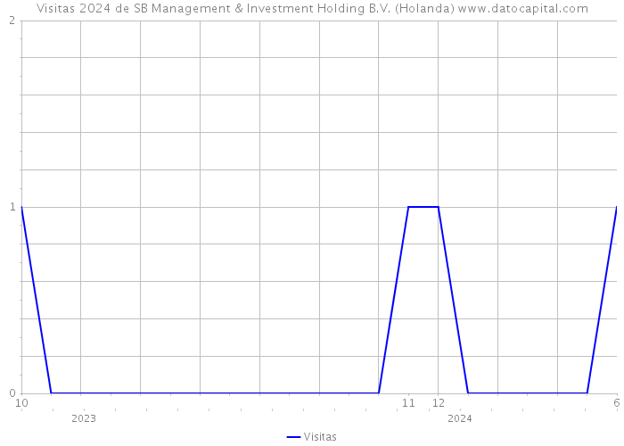 Visitas 2024 de SB Management & Investment Holding B.V. (Holanda) 