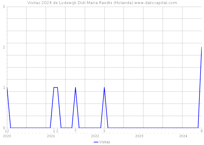 Visitas 2024 de Lodewijk Didi Maria Raedts (Holanda) 