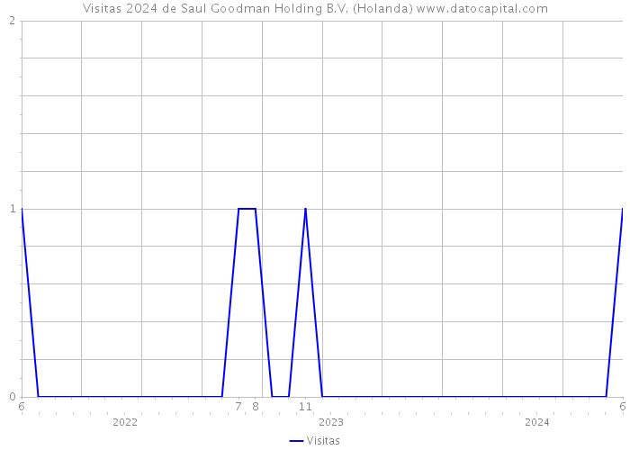 Visitas 2024 de Saul Goodman Holding B.V. (Holanda) 