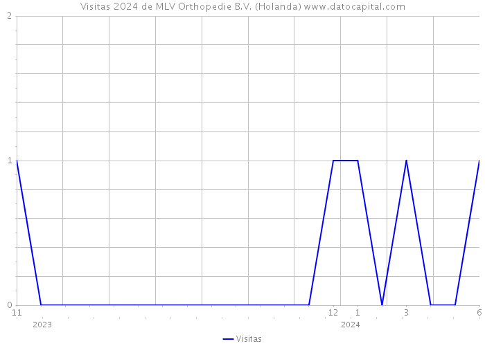 Visitas 2024 de MLV Orthopedie B.V. (Holanda) 