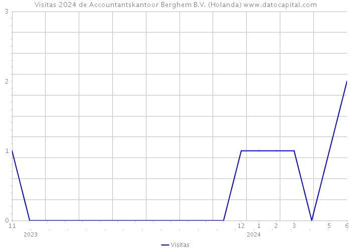 Visitas 2024 de Accountantskantoor Berghem B.V. (Holanda) 