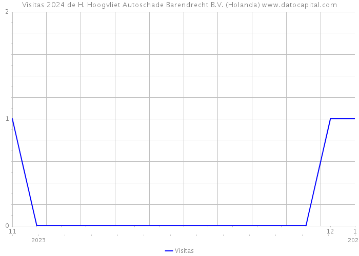 Visitas 2024 de H. Hoogvliet Autoschade Barendrecht B.V. (Holanda) 