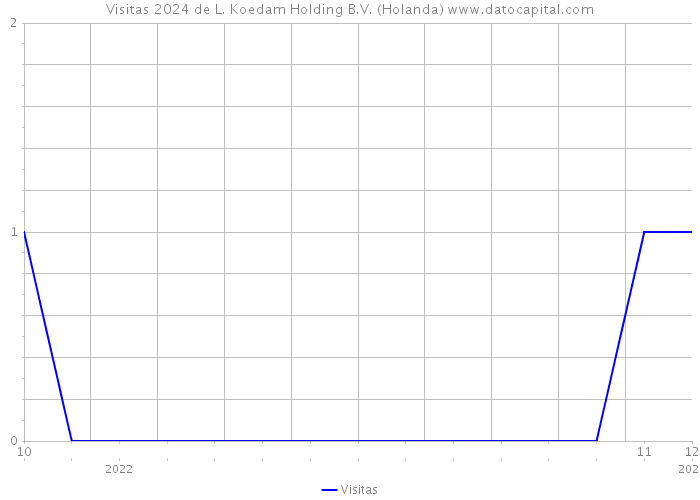 Visitas 2024 de L. Koedam Holding B.V. (Holanda) 