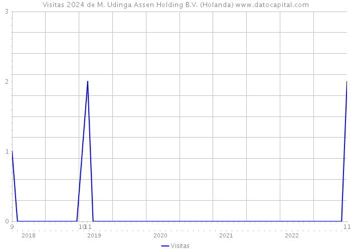 Visitas 2024 de M. Udinga Assen Holding B.V. (Holanda) 