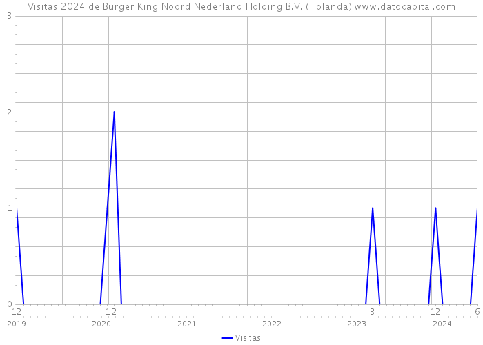 Visitas 2024 de Burger King Noord Nederland Holding B.V. (Holanda) 