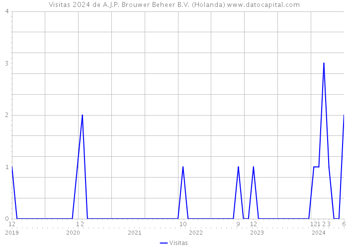 Visitas 2024 de A.J.P. Brouwer Beheer B.V. (Holanda) 