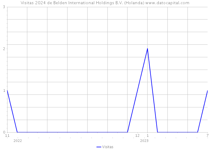 Visitas 2024 de Belden International Holdings B.V. (Holanda) 