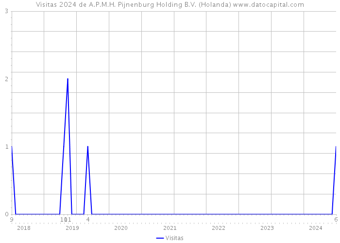 Visitas 2024 de A.P.M.H. Pijnenburg Holding B.V. (Holanda) 