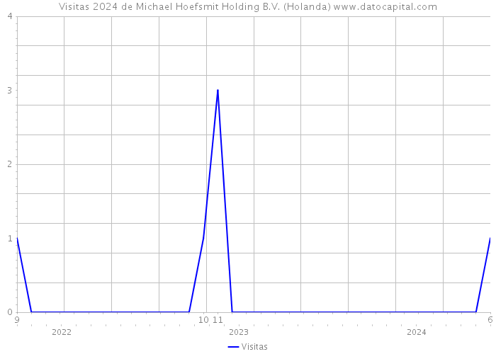 Visitas 2024 de Michael Hoefsmit Holding B.V. (Holanda) 