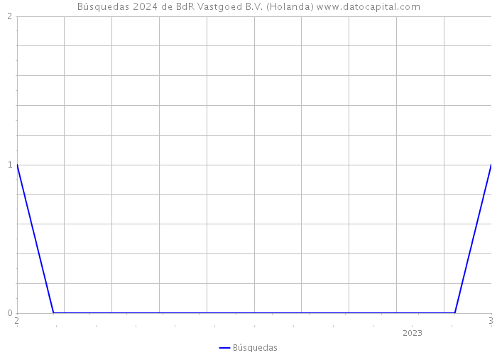 Búsquedas 2024 de BdR Vastgoed B.V. (Holanda) 