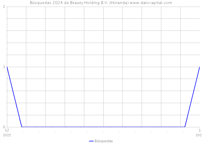 Búsquedas 2024 de Beauty Holding B.V. (Holanda) 