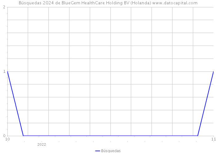 Búsquedas 2024 de BlueGem HealthCare Holding BV (Holanda) 