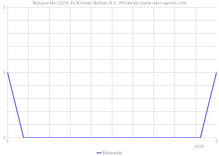 Búsquedas 2024 de Bolman Beheer B.V. (Holanda) 