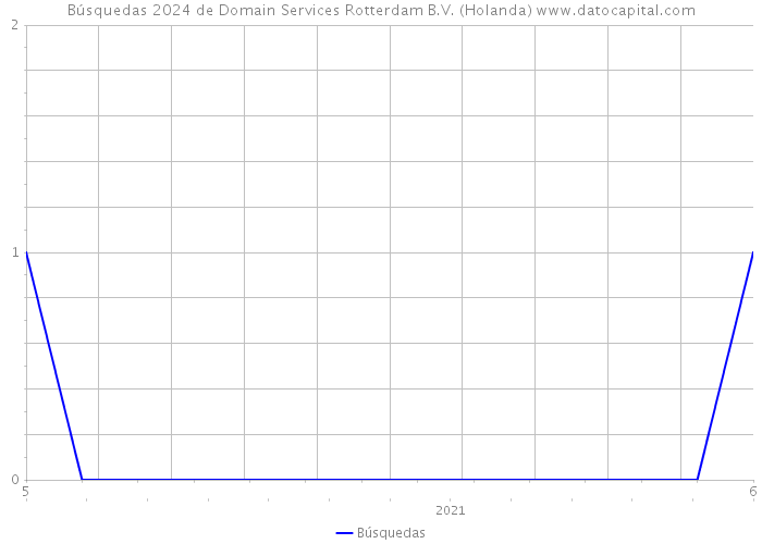 Búsquedas 2024 de Domain Services Rotterdam B.V. (Holanda) 