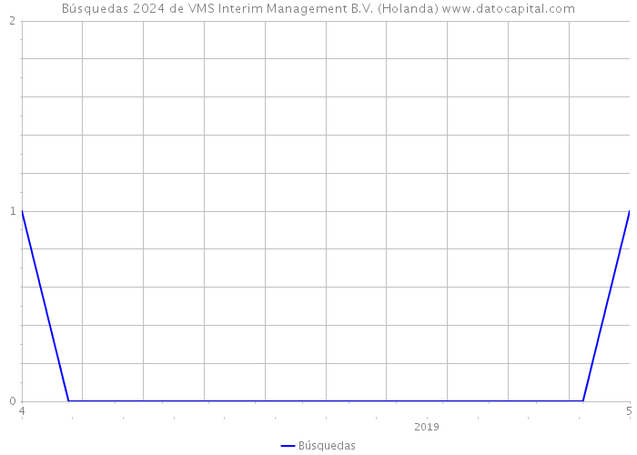 Búsquedas 2024 de VMS Interim Management B.V. (Holanda) 