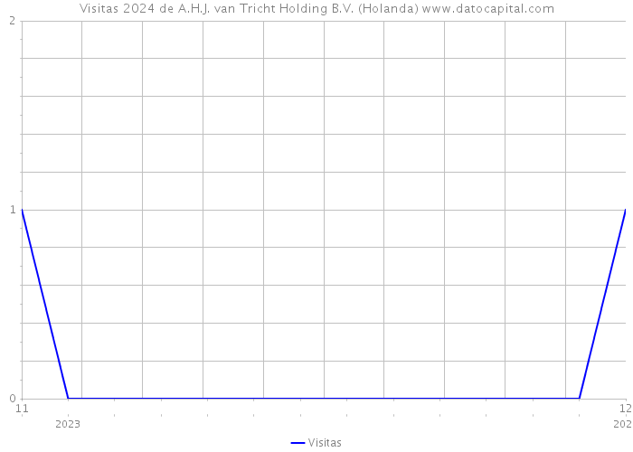 Visitas 2024 de A.H.J. van Tricht Holding B.V. (Holanda) 