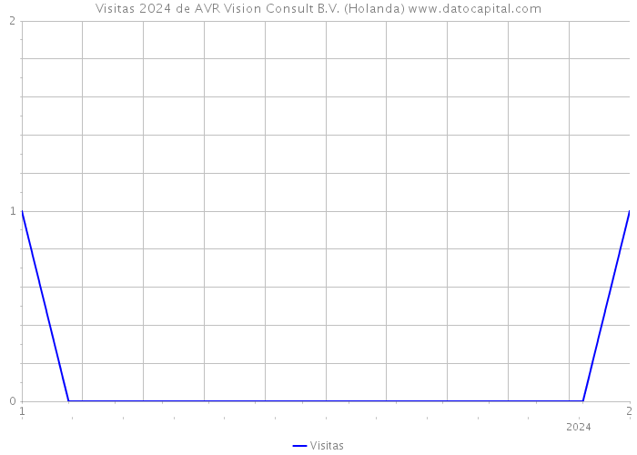 Visitas 2024 de AVR Vision Consult B.V. (Holanda) 