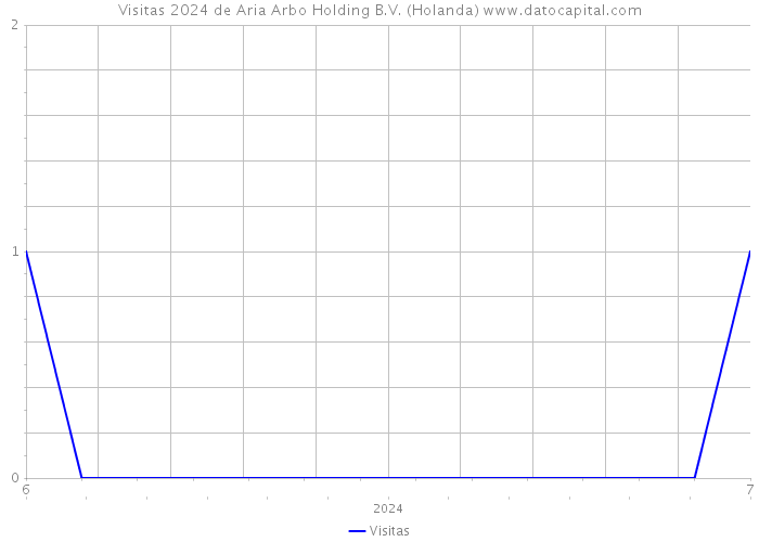 Visitas 2024 de Aria Arbo Holding B.V. (Holanda) 