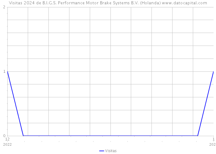 Visitas 2024 de B.I.G.S. Performance Motor Brake Systems B.V. (Holanda) 