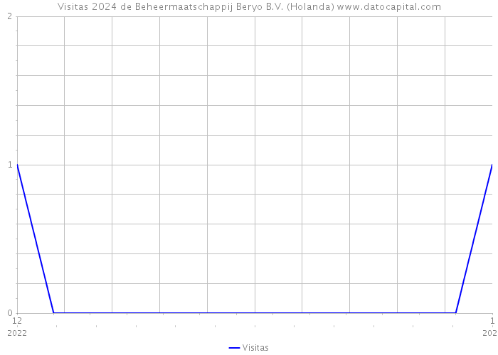Visitas 2024 de Beheermaatschappij Beryo B.V. (Holanda) 