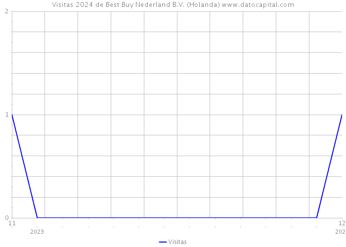 Visitas 2024 de Best Buy Nederland B.V. (Holanda) 