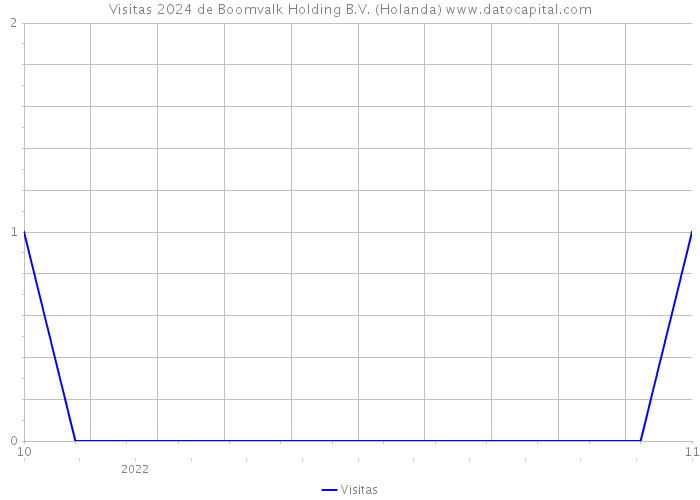 Visitas 2024 de Boomvalk Holding B.V. (Holanda) 