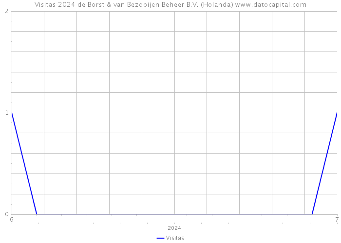 Visitas 2024 de Borst & van Bezooijen Beheer B.V. (Holanda) 