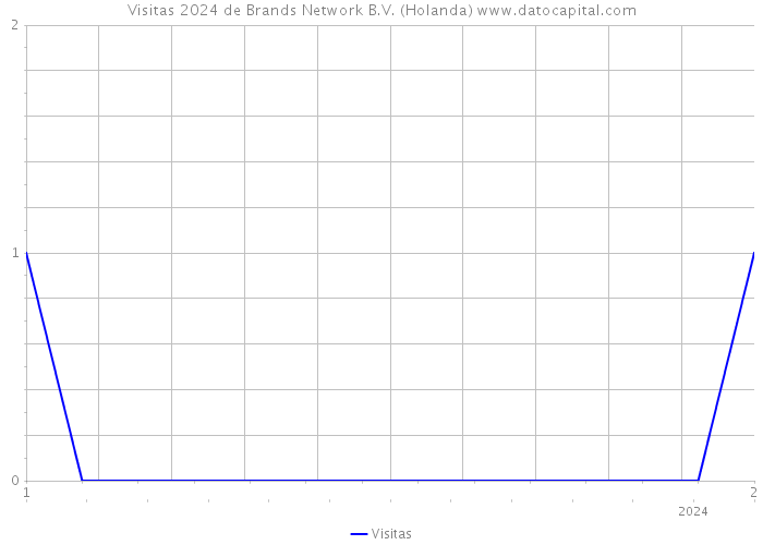 Visitas 2024 de Brands Network B.V. (Holanda) 