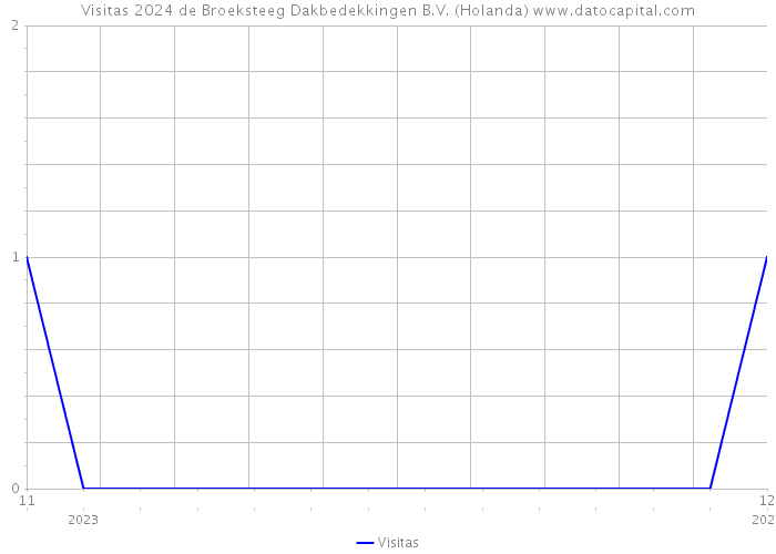 Visitas 2024 de Broeksteeg Dakbedekkingen B.V. (Holanda) 