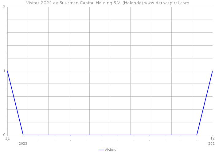 Visitas 2024 de Buurman Capital Holding B.V. (Holanda) 
