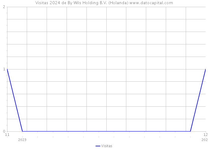 Visitas 2024 de By Wils Holding B.V. (Holanda) 