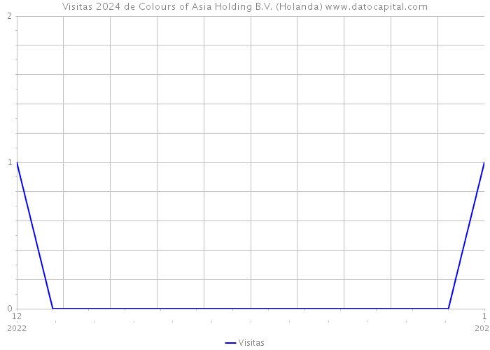 Visitas 2024 de Colours of Asia Holding B.V. (Holanda) 