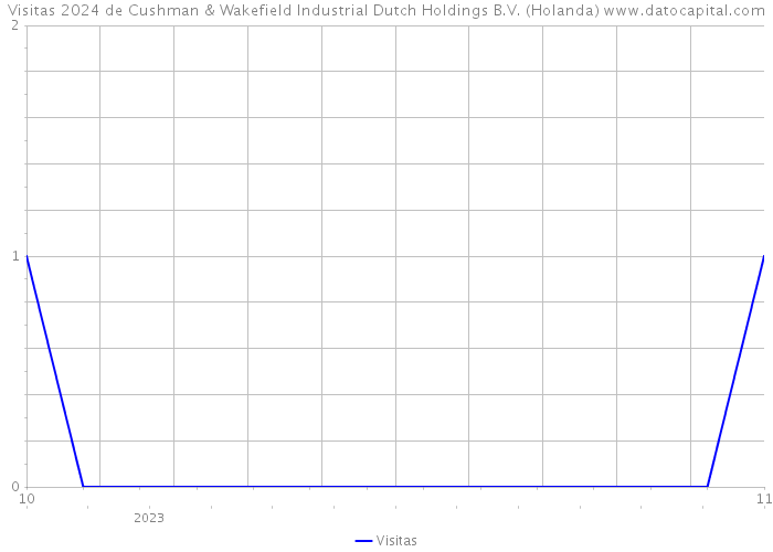 Visitas 2024 de Cushman & Wakefield Industrial Dutch Holdings B.V. (Holanda) 