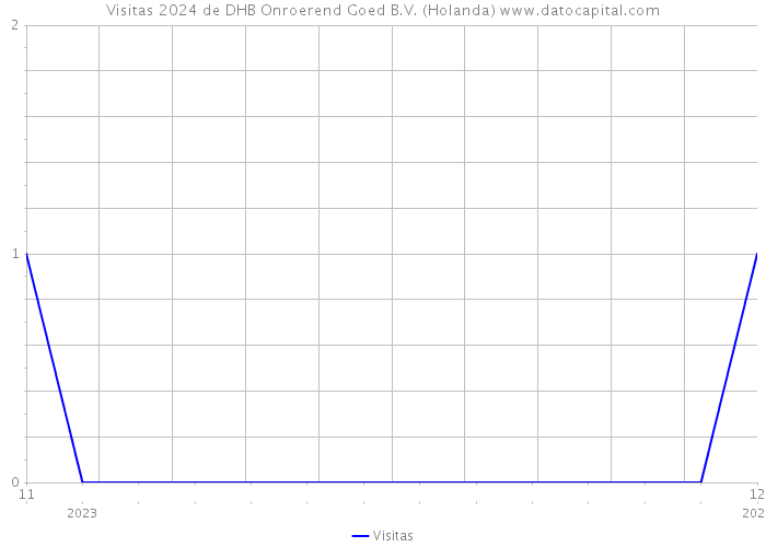 Visitas 2024 de DHB Onroerend Goed B.V. (Holanda) 